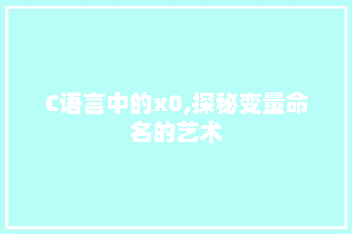 C语言中的x0,探秘变量命名的艺术