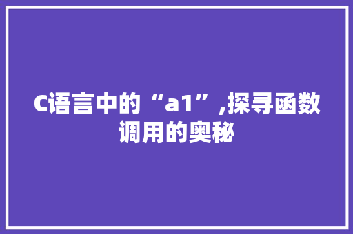 C语言中的“a1”,探寻函数调用的奥秘