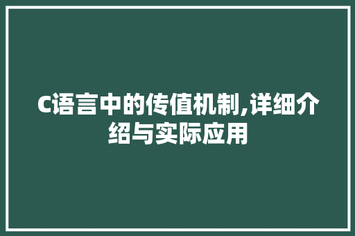 C语言中的传值机制,详细介绍与实际应用