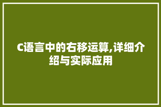 C语言中的右移运算,详细介绍与实际应用