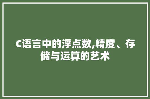 C语言中的浮点数,精度、存储与运算的艺术