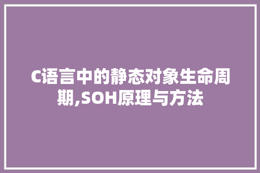 C语言中的静态对象生命周期,SOH原理与方法