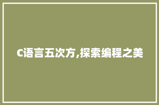 C语言五次方,探索编程之美