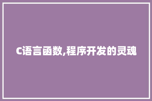 C语言函数,程序开发的灵魂