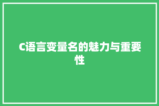 C语言变量名的魅力与重要性