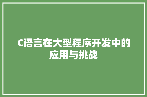 C语言在大型程序开发中的应用与挑战