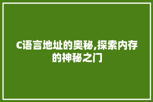 C语言地址的奥秘,探索内存的神秘之门