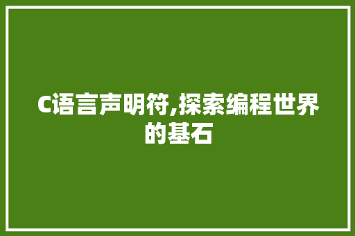 C语言声明符,探索编程世界的基石