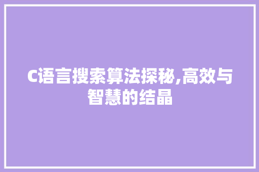 C语言搜索算法探秘,高效与智慧的结晶