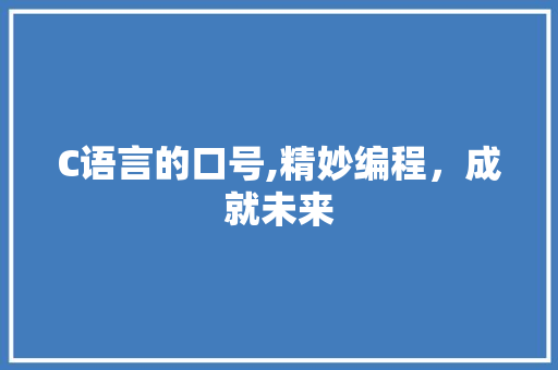 C语言的口号,精妙编程，成就未来