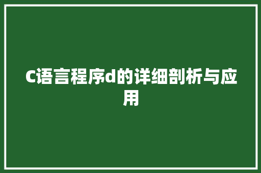 C语言程序d的详细剖析与应用