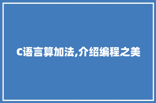 C语言算加法,介绍编程之美