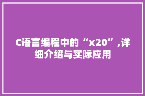 C语言编程中的“x20”,详细介绍与实际应用