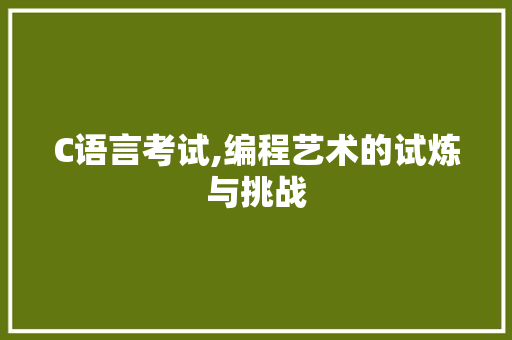 C语言考试,编程艺术的试炼与挑战