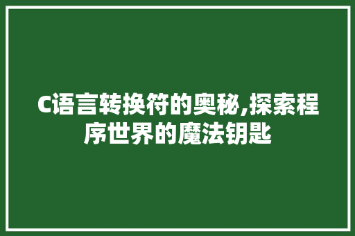 C语言转换符的奥秘,探索程序世界的魔法钥匙