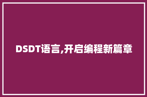 DSDT语言,开启编程新篇章