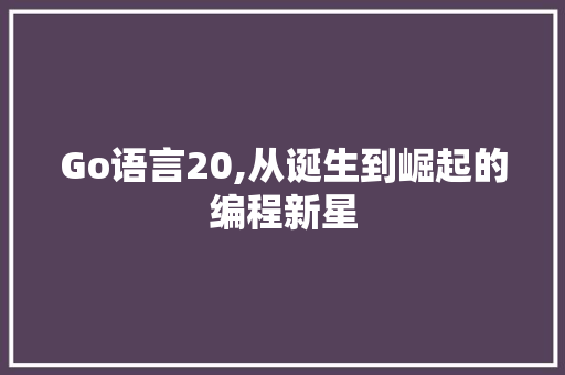 Go语言20,从诞生到崛起的编程新星