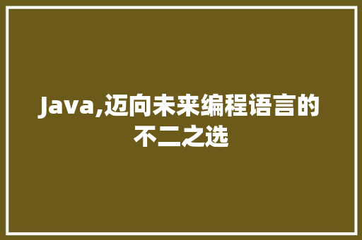 Java,迈向未来编程语言的不二之选