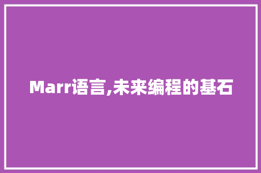 Marr语言,未来编程的基石