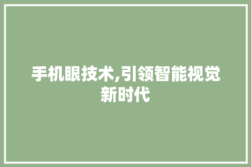 手机眼技术,引领智能视觉新时代