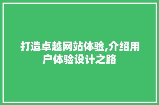 打造卓越网站体验,介绍用户体验设计之路