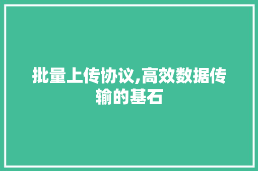 批量上传协议,高效数据传输的基石