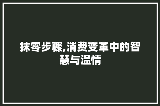 抹零步骤,消费变革中的智慧与温情