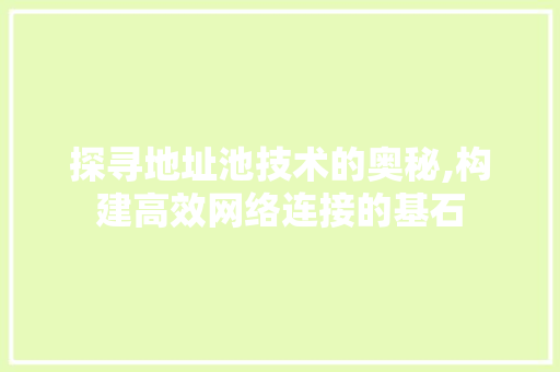 探寻地址池技术的奥秘,构建高效网络连接的基石