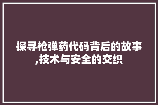 探寻枪弹药代码背后的故事,技术与安全的交织