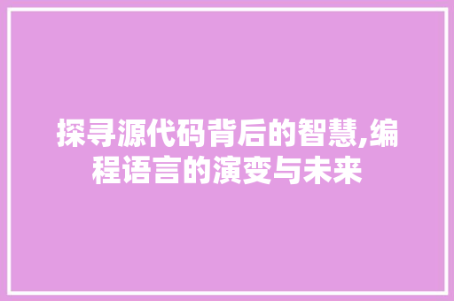 探寻源代码背后的智慧,编程语言的演变与未来