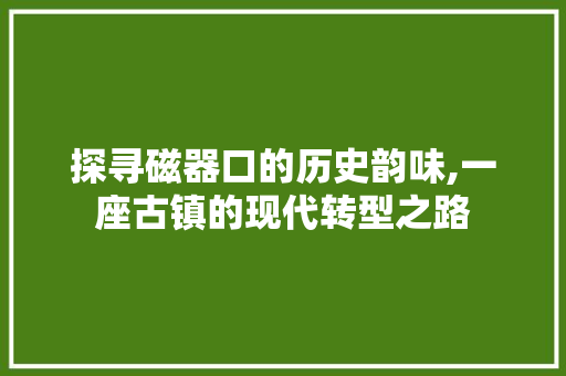 探寻磁器口的历史韵味,一座古镇的现代转型之路