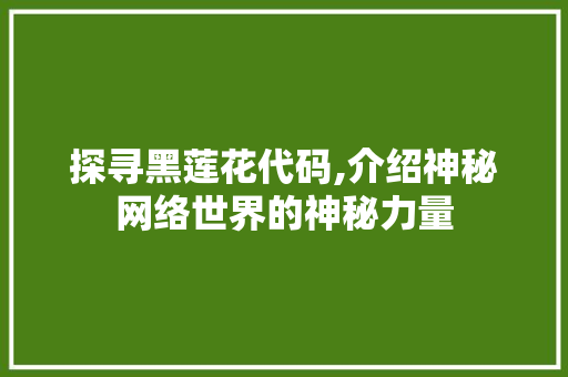 探寻黑莲花代码,介绍神秘网络世界的神秘力量