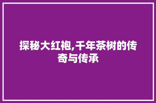 探秘大红袍,千年茶树的传奇与传承