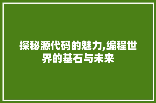 探秘源代码的魅力,编程世界的基石与未来