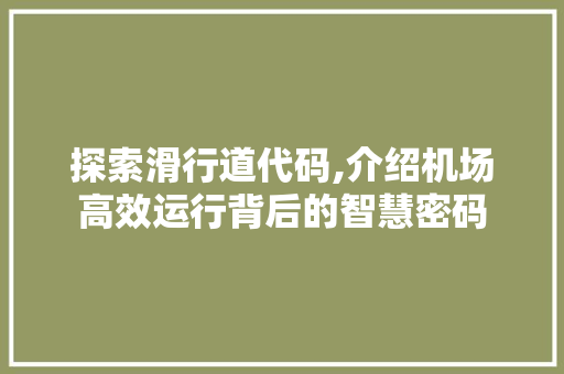 探索滑行道代码,介绍机场高效运行背后的智慧密码