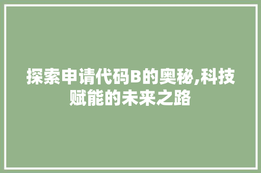 探索申请代码B的奥秘,科技赋能的未来之路