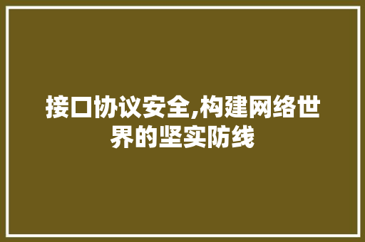 接口协议安全,构建网络世界的坚实防线