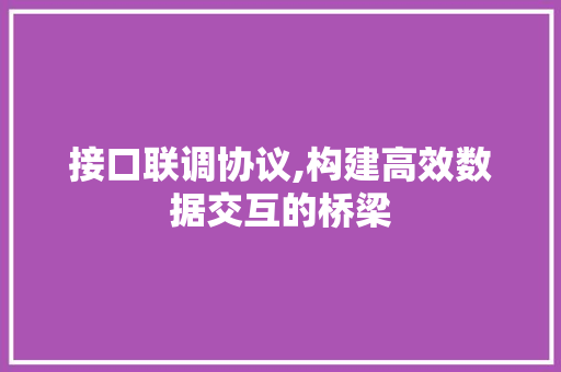 接口联调协议,构建高效数据交互的桥梁