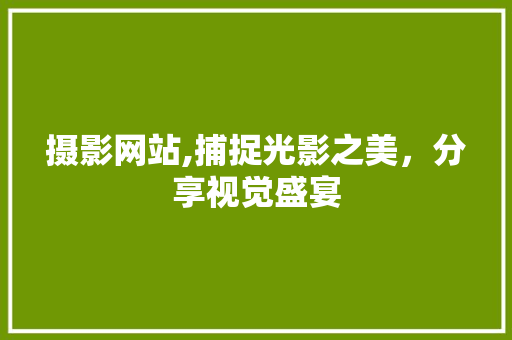 摄影网站,捕捉光影之美，分享视觉盛宴