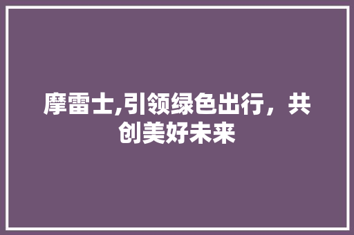 摩雷士,引领绿色出行，共创美好未来