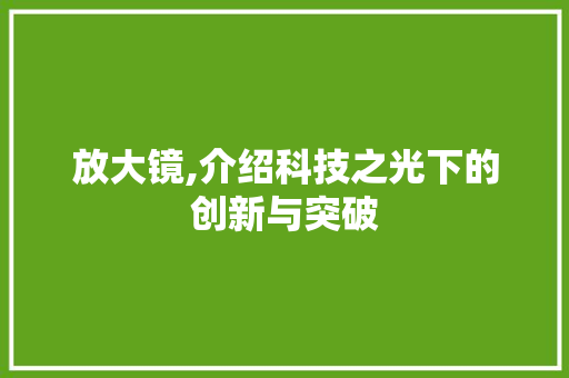 放大镜,介绍科技之光下的创新与突破