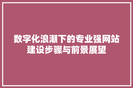 数字化浪潮下的专业强网站建设步骤与前景展望