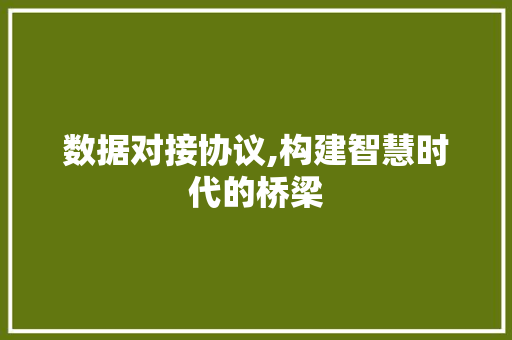 数据对接协议,构建智慧时代的桥梁