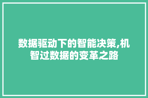 数据驱动下的智能决策,机智过数据的变革之路