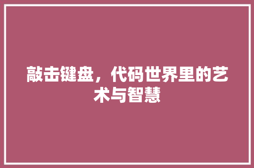 敲击键盘，代码世界里的艺术与智慧