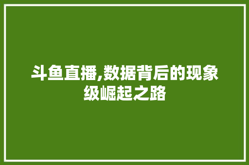 斗鱼直播,数据背后的现象级崛起之路