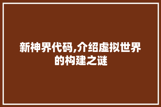 新神界代码,介绍虚拟世界的构建之谜