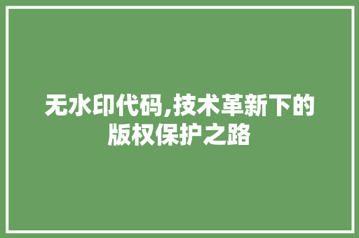 无水印代码,技术革新下的版权保护之路