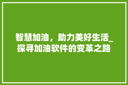 智慧加油，助力美好生活_探寻加油软件的变革之路