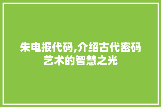 朱电报代码,介绍古代密码艺术的智慧之光